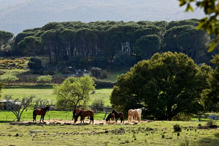 GRAZALEMA A CABALLO